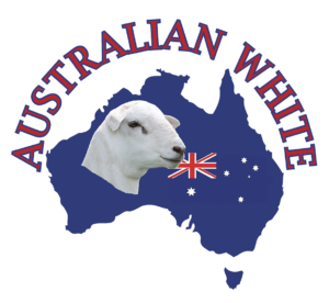 Australian-White-Logo-Web-Version Australian White Sheep