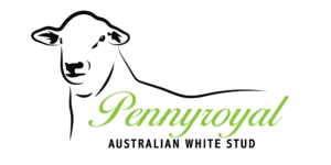 Pennyroyal-AW-Logo-web-01