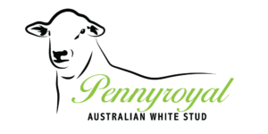 Pennyroyal-AW-Logo-web-01 Pennyroyal-AW-Logo-web-01