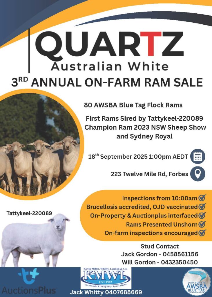 Quartz 2025 Sale Flyer_ Quartz 2025 Sale Flyer_